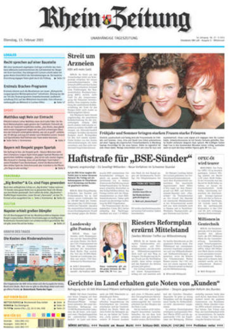 Rhein-Zeitung Kreis Cochem-Zell vom Dienstag, 13.02.2001