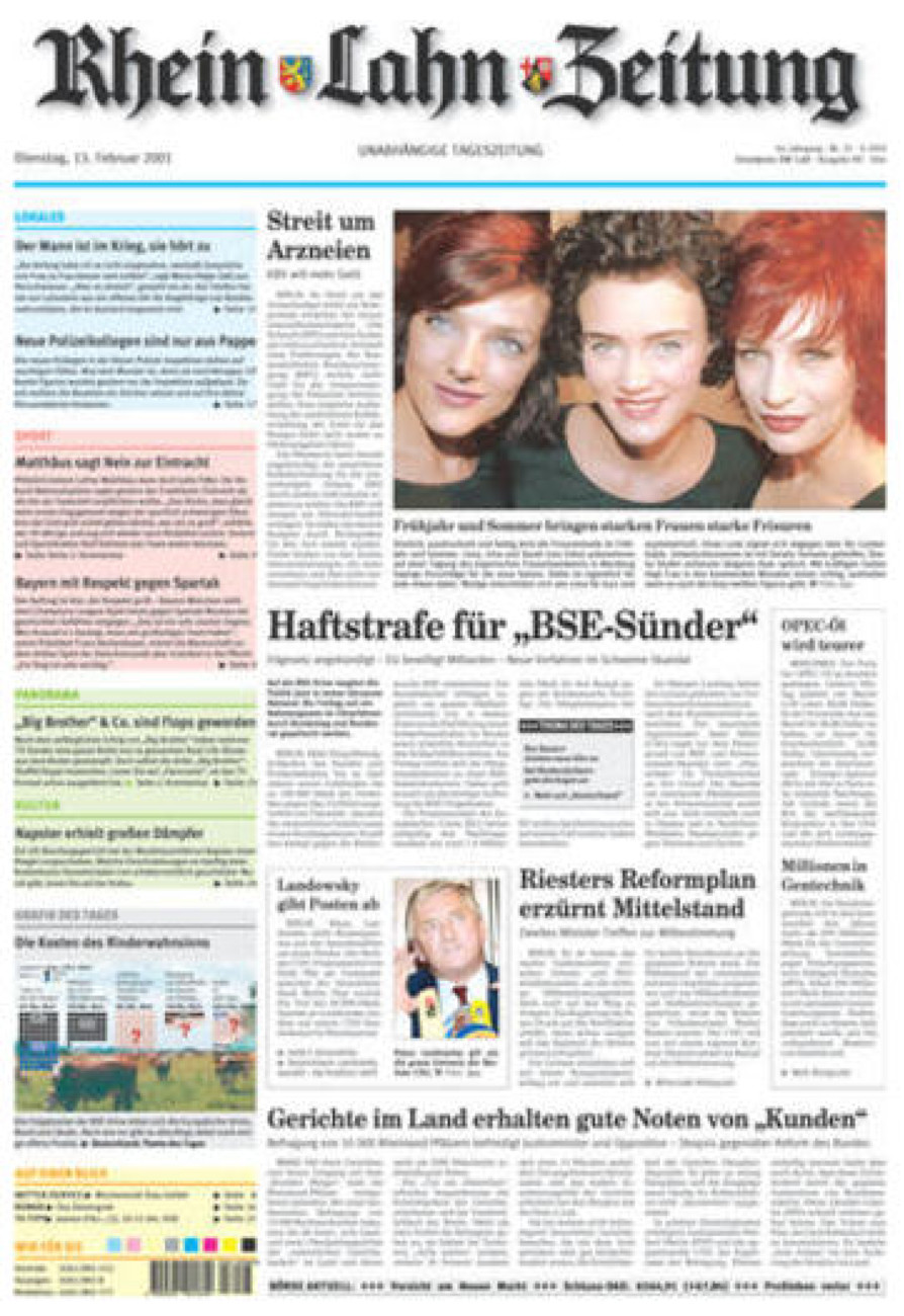 Rhein-Lahn-Zeitung Diez (Archiv) vom Dienstag, 13.02.2001