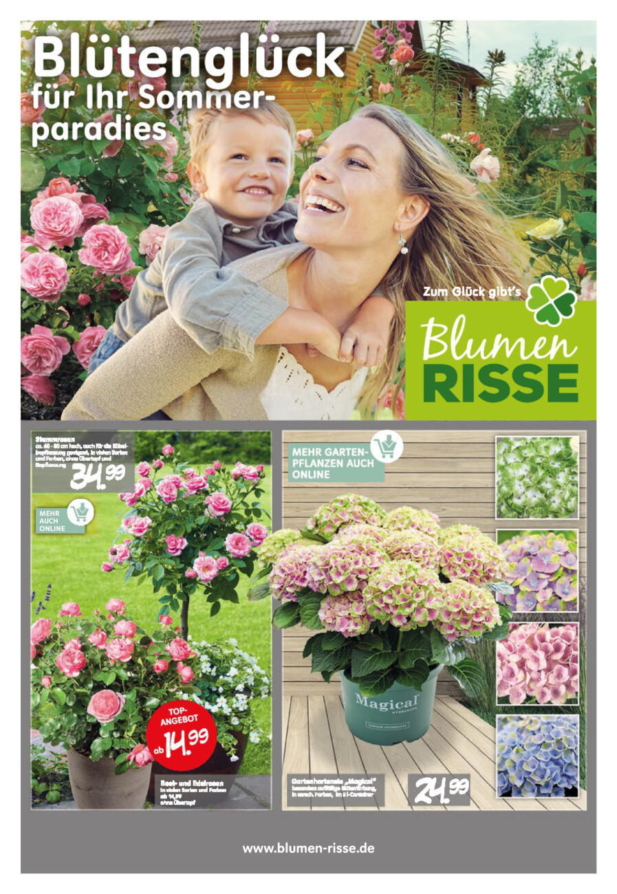 BlumenRisse